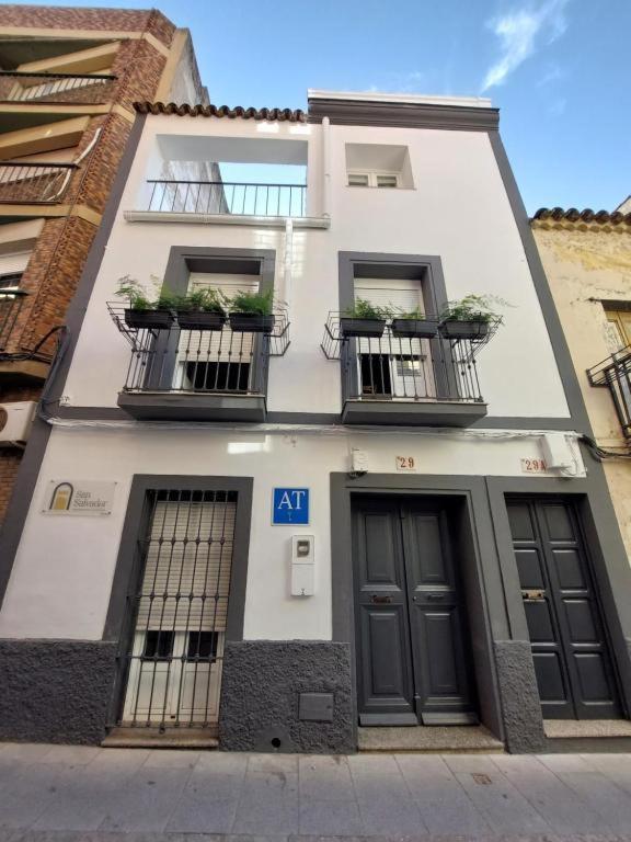 Apartamentos San Salvador Parking Gratis Mérida Luaran gambar